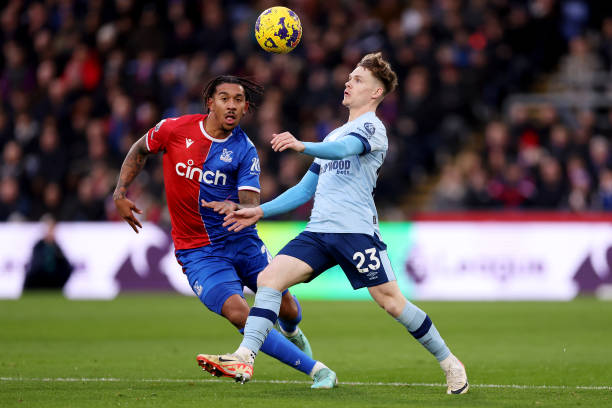 坛未来发展 坛未来发展