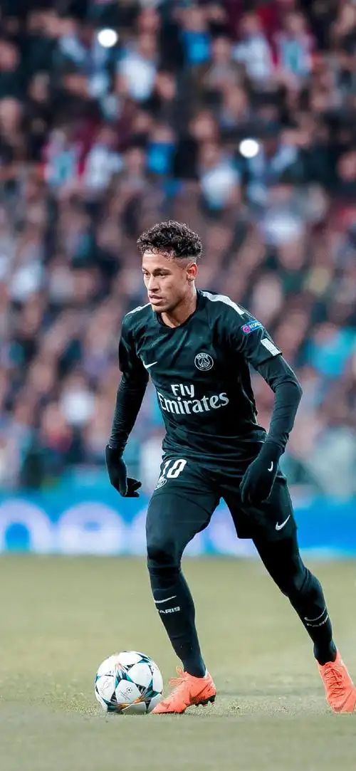 胜利提供了 胜利提供了